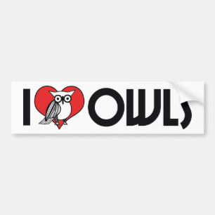 Autocollant De Voiture Je Chéris les Hiboux au Coeur - Amoureux des Hibou
