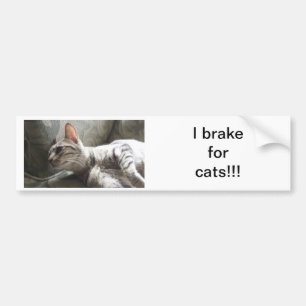 Autocollant De Voiture Je freine pour des chats