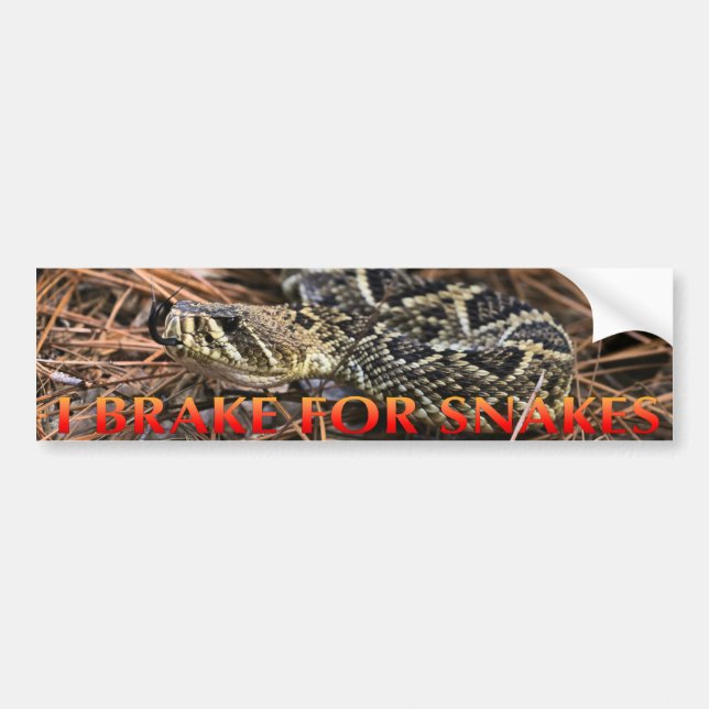 Autocollant De Voiture Je freine pour des serpents (Devant)