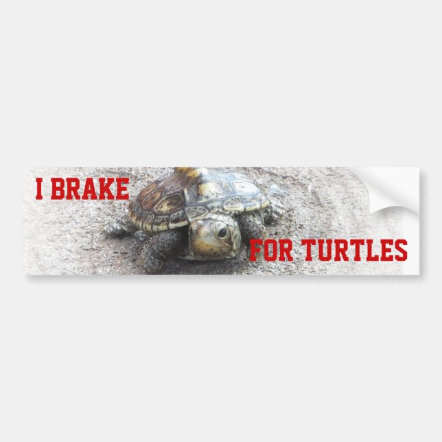 Autocollant De Voiture Je freine pour des tortues (Devant)