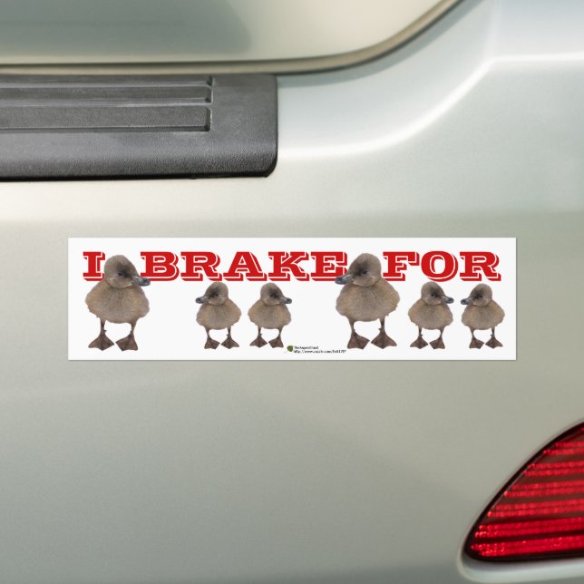 Autocollant De Voiture Je FREINE POUR Grey Duckling Photo Personnalisée (En voiture)