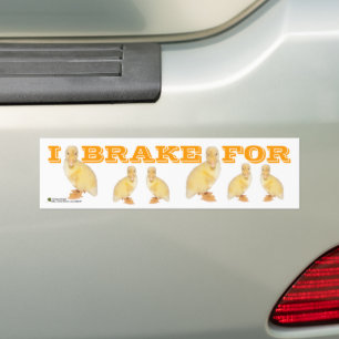 Autocollant De Voiture Je FREINE POUR Jaune Duckling Photo Personnalisée