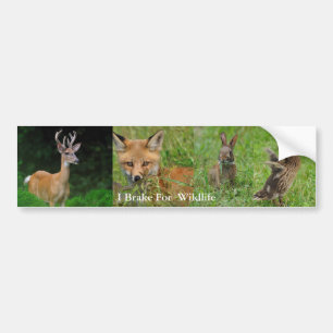 Autocollant De Voiture Je freine pour l'adhésif pour pare-chocs de faune