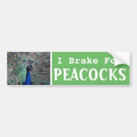 Je freine pour les PEACOCKS