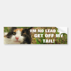 Autocollant De Voiture Je ne suis aucun chat Meme de chien d'avance