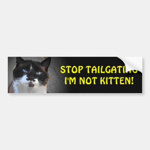 Autocollant De Voiture Je ne suis pas Kitten