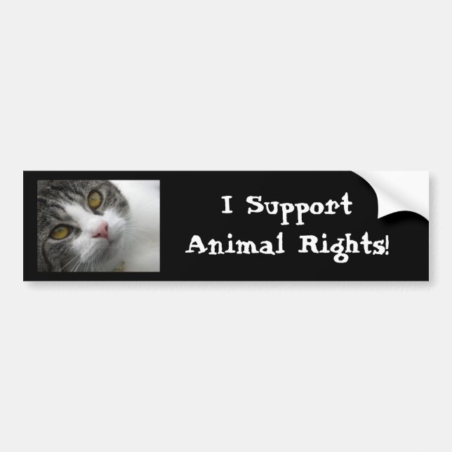 Autocollant De Voiture Je soutiens les droits des animaux Bumpersticker (Devant)