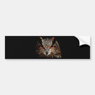 Autocollant De Voiture Je vous observe !