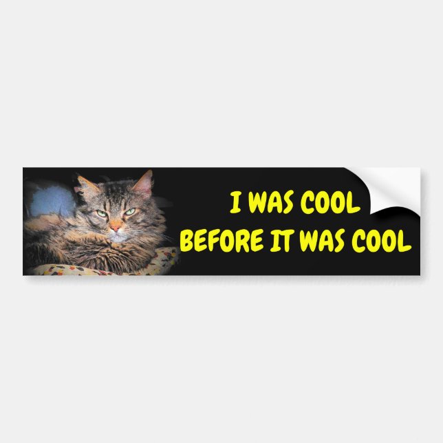 Autocollant De Voiture J'Étais Cool Avant C'Était Cool Cat Meme (Devant)