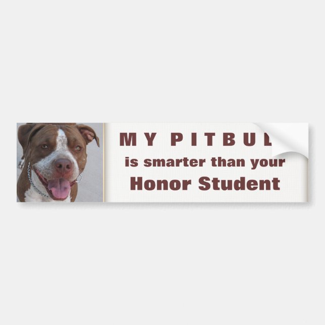 Autocollant De Voiture Jeu de Pitbull avec moi (Devant)