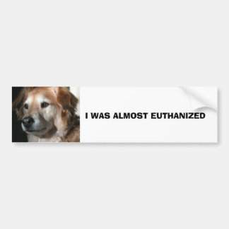 AUTOCOLLANT DE VOITURE J'EUTHANIZED PRESQUE