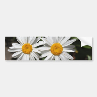 Autocollant De Voiture Joli blanc fleur marguerite