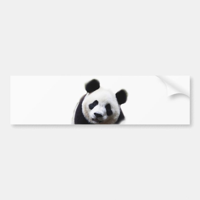 Autocollant De Voiture Joli Sticker Panda Artwork (Devant)