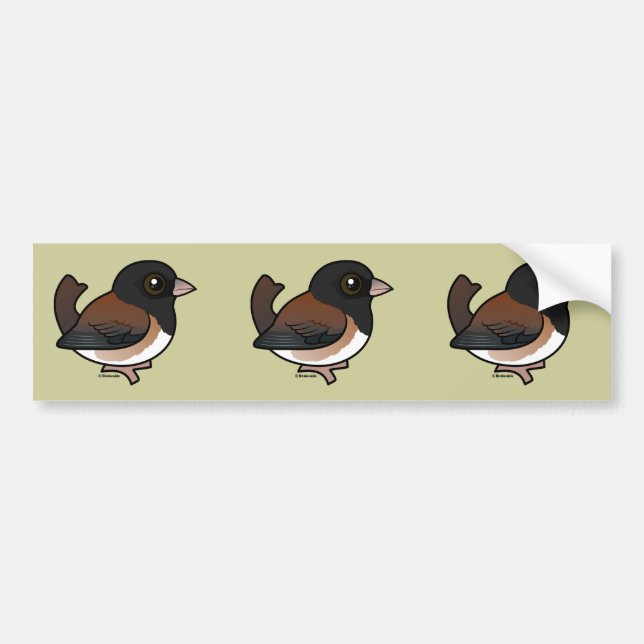Autocollant De Voiture Junco aux yeux foncés (Oregon) (Devant)
