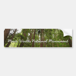 Autocollant De Voiture Jusqu'à Redwoods I au monument national de Muir Wo