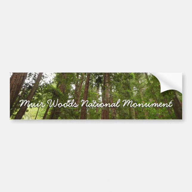 Autocollant De Voiture Jusqu'à Redwoods I au monument national de Muir Wo (Devant)