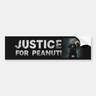 Autocollant De Voiture Justice pour l'arachide l'écureuil BUMPER STICKER