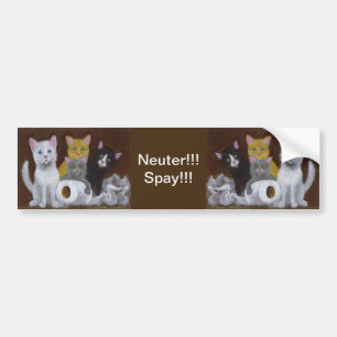 Autocollant De Voiture Kittens Neuter Spay