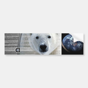 Autocollant De Voiture la terre d'ours blancs