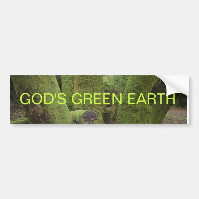 AUTOCOLLANT DE VOITURE LA TERRE VERTE D'UN DIEU (Devant)