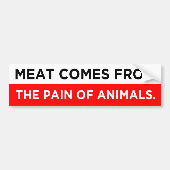 Autocollant De Voiture la viande provient de la douleur des animaux végét (Devant)