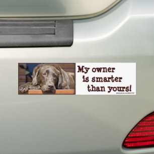 Autocollant De Voiture Labrador Retriever Chien photo drôle 