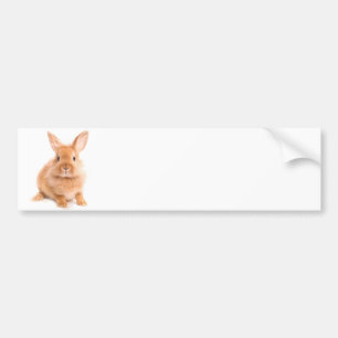 Autocollant De Voiture Lapin
