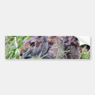 Autocollant De Voiture Lapin Bunny Lapins