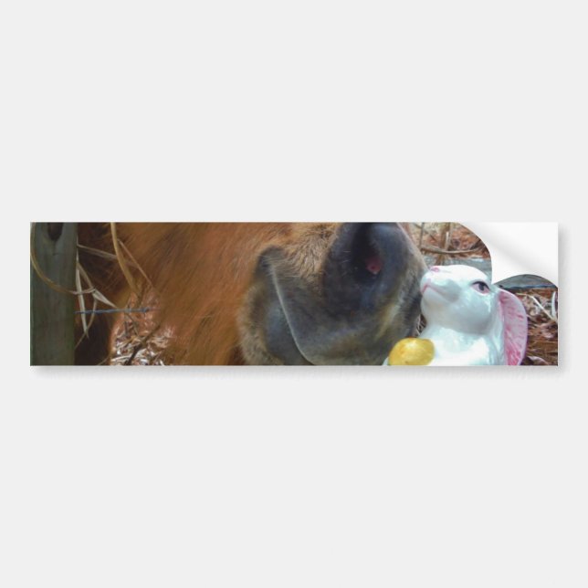 Autocollant De Voiture Lapin de Pâques et cheval Brown (Devant)