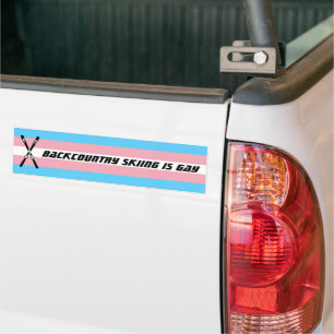 Autocollant De Voiture L'arrière-pays est gay (fierté trans)