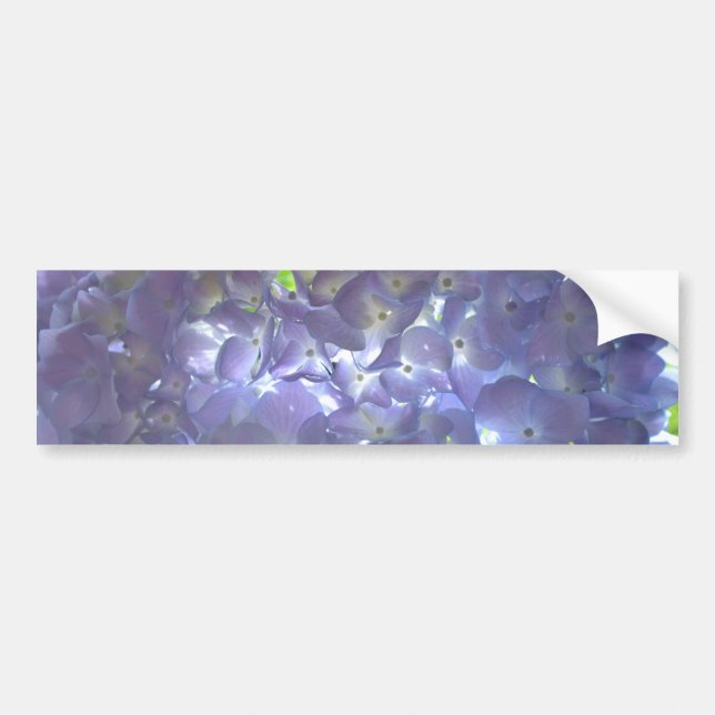 Autocollant De Voiture Lavender Hydrangeas (Devant)