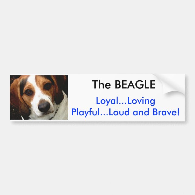 Autocollant De Voiture Le BEAGLE (Devant)
