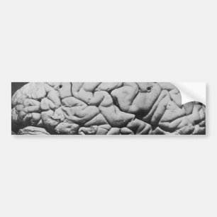 AUTOCOLLANT DE VOITURE LE CERVEAU DE CHARLES BABBAGE (1909)