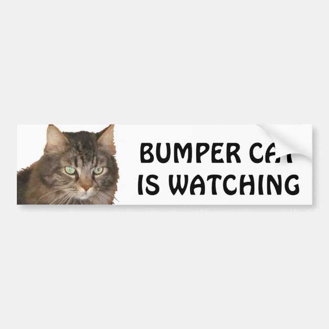 Autocollant De Voiture Le chat de butoir observe (Devant)