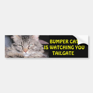 Autocollant De Voiture Le chat de butoir observe la PORTE À RABATTEMENT