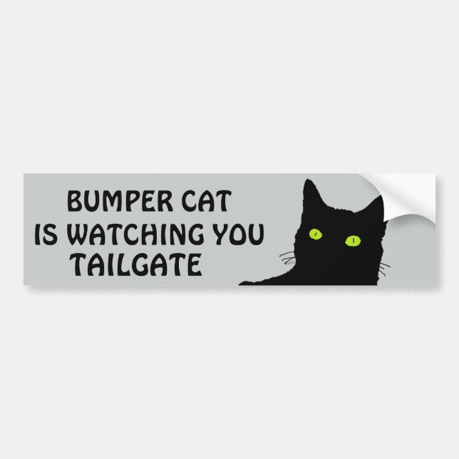 Autocollant De Voiture Le chat de butoir observe la PORTE À RABATTEMENT (Devant)