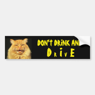 Autocollant De Voiture Le chat parlant indique ne boivent pas et NE