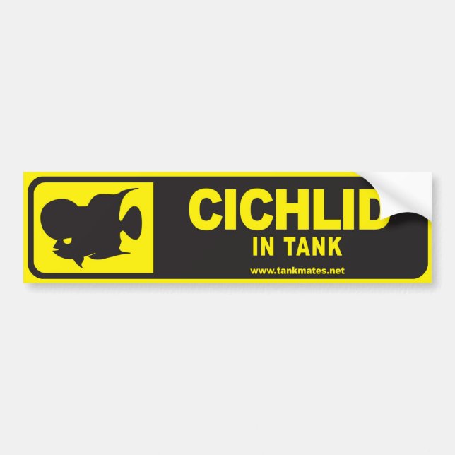 Autocollant De Voiture Le réservoir joint la série 1-Cichlid d'adhésif (Devant)