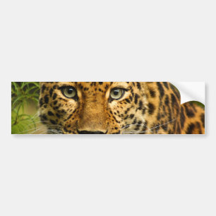 Autocollant De Voiture Léopard d'Amur