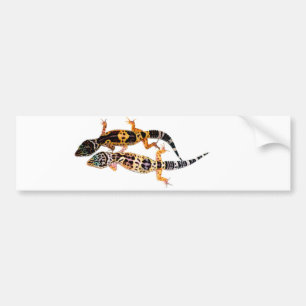 Autocollant De Voiture Léopardgecko