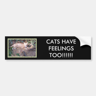 AUTOCOLLANT DE VOITURE LES CHATS ONT DES SENTIMENTS AUSSI ! ! ! ! ! !
