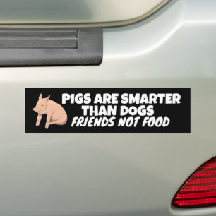 AUTOCOLLANT DE VOITURE LES CHIENS SONT PLUS INTELLIGENTS QUE LES CHIENS, 
