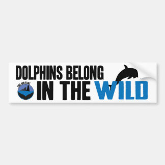 Autocollant De Voiture Les dauphins appartiennent dans l'adhésif pour