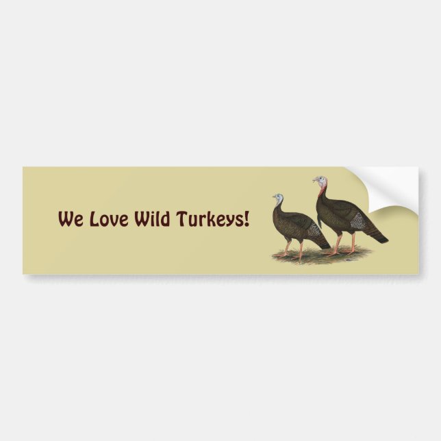Autocollant De Voiture Les Jeunes Filles de Turkeys (Devant)