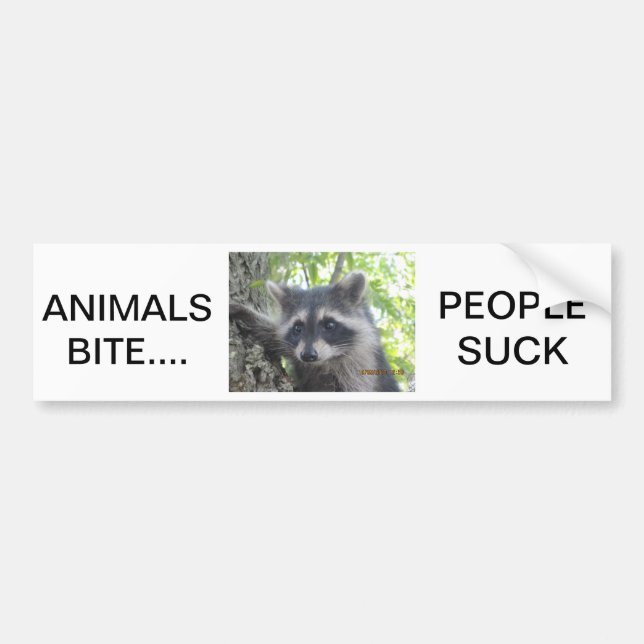 Autocollant De Voiture Les personnes de morsure d'animaux sucent (Devant)