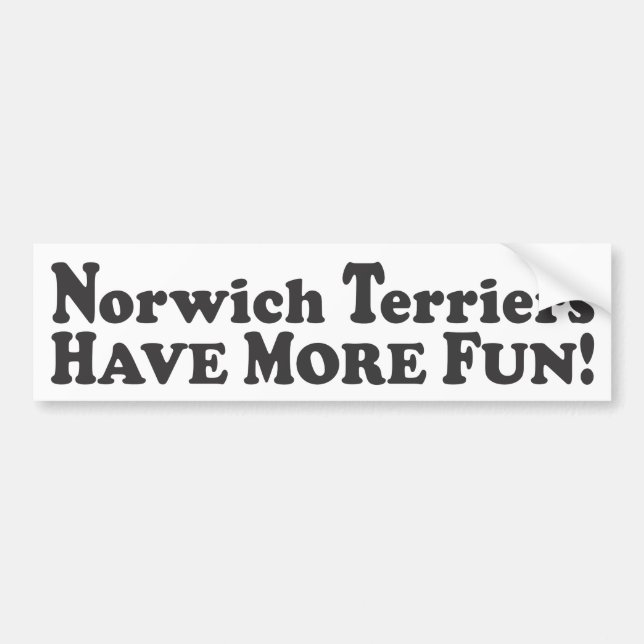 Autocollant De Voiture Les terriers de Norwich ont plus d'amusement ! - (Devant)