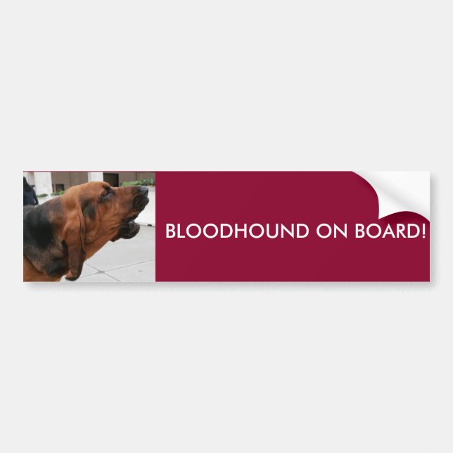 Autocollant De Voiture Limier à bord d'adhésif pour pare-chocs (Devant)