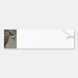 Autocollant De Voiture Limpkin