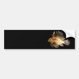 Autocollant De Voiture Lionfish