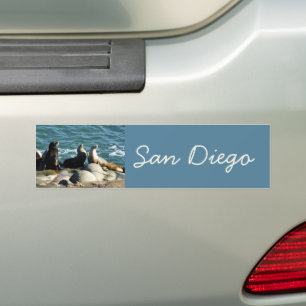 Autocollant De Voiture Lions de la mer de San Diego